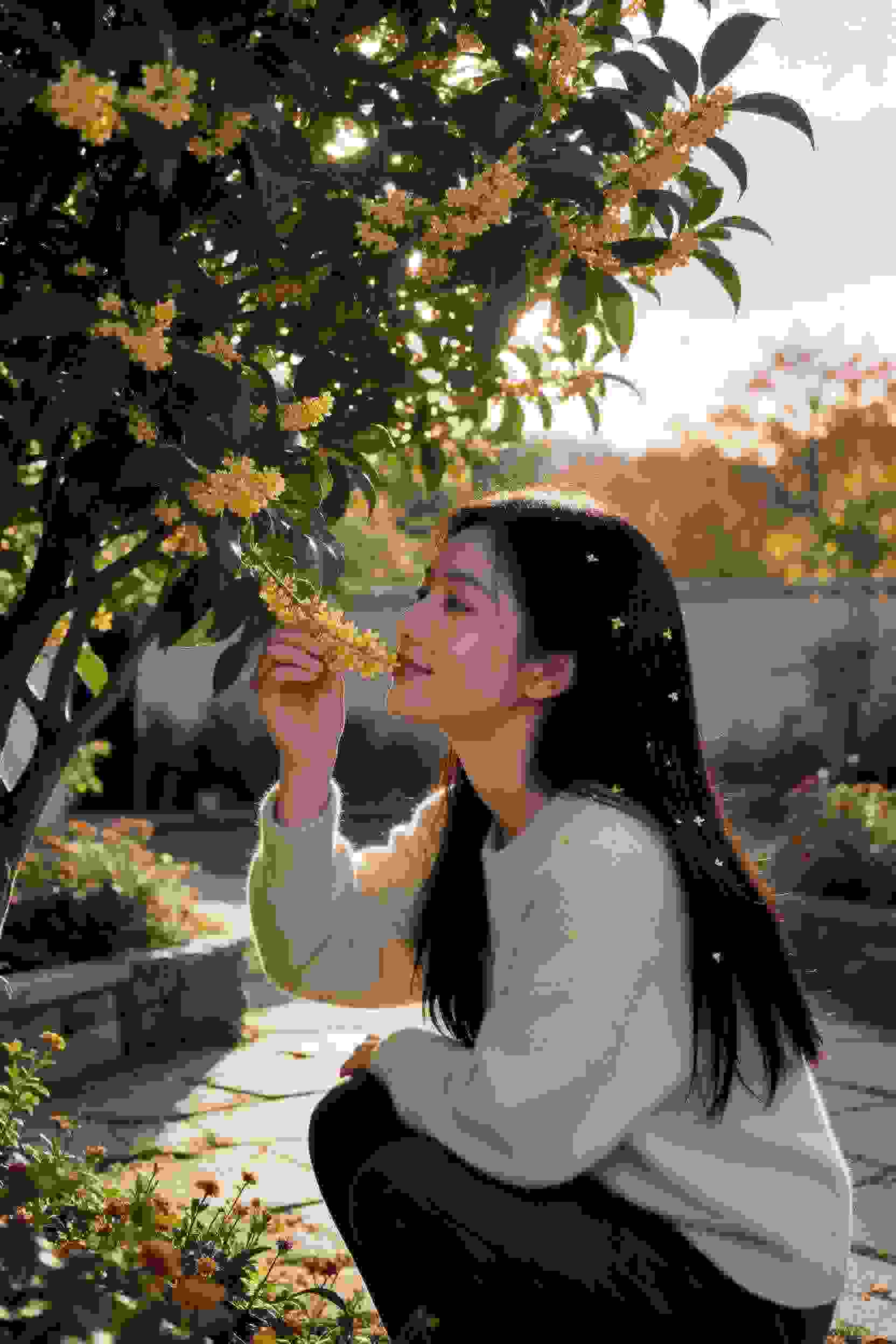 冷王宠妻